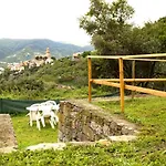 Tra Le Mura *