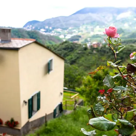 Tra Le Mura Levanto